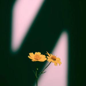 欧 美 性 x X x 精 品
