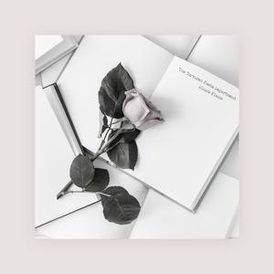 欧 美 性 x X x 精 品
